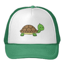Turtle hat