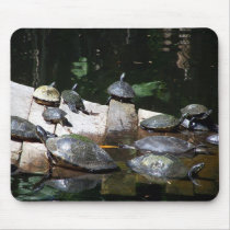 Turtle Heaven mousepads