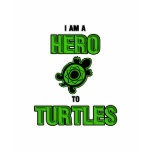 Turtle Hero 1