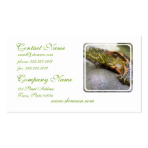 Turtle Identification Business Card