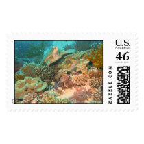 Turtle in the Reef postage by hilory10028 Turtle in the Reef postage