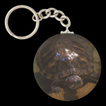 turtle keychain keychains