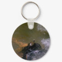 Turtle Keychain