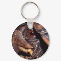 turtle keychains by WorldDesign turtle keychains