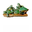 Turtle Ladies Ringer T-Shirt