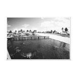 Turtle Lagoon Stretched Canvas Prints