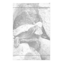 turtle lost in thought personalized stationery