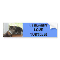 Turtle love bumper stickers