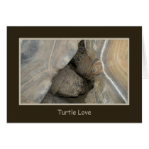 Turtle Love cards by Jack_of_Arts Turtle Love cards