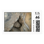 Turtle Love postage