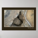 Turtle Love Posters