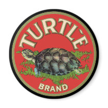 Turtle magnets