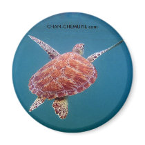 Turtle Magnet by ChanChemuyil Turtle Magnet