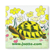 Turtle Magnet
