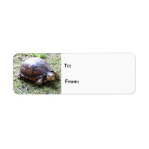 Turtle - Mossy Path labels