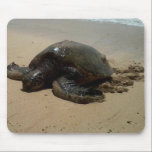 Turtle -- Mouse Pad mousepads