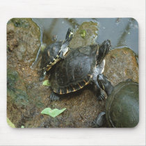 Turtle mouse pad mousepads by journeyoftheanimals Turtle mouse pad mousepads