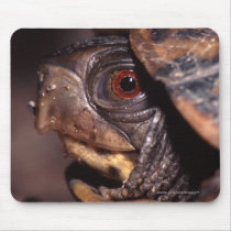 Turtle mousepads by WorldDesign Turtle mousepads