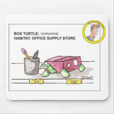 Turtle Mousepad by jdilbert