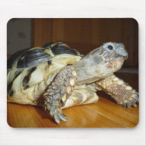 Turtle mousepads