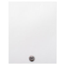 Turtle mouth open round frame Mad Musk turtle Letterhead Design