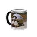 Turtle Mug