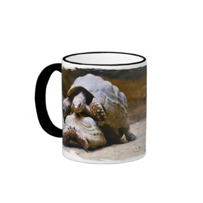 Turtle Mug by SuRi_Photography
