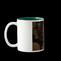 turtle mug mugs