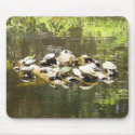 Turtle Networking... mousepads