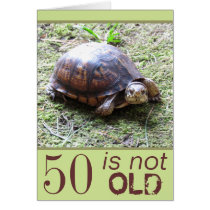 Turtle - Not Old -  Birthday cards