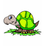 Turtle On Grass Tee Shirt