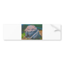 turtle_Painting bumper stickers