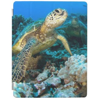 Turtle Pair iPad Cover