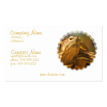 Turtle Photo Business Card