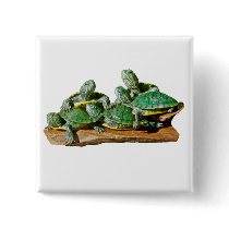 Turtle Picture buttons
