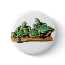 Turtle Picture buttons