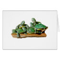 Turtle Picture cards