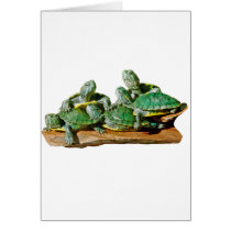 Turtle Picture cards