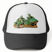 Turtle Picture hats