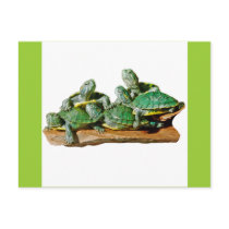 Turtle Picture postcards