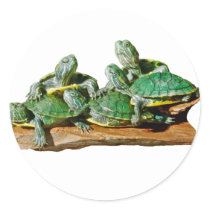 Turtle Picture stickers
