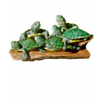 Turtle Picture t-shirts by kphotos Turtle Picture t-shirts