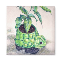Turtle planter magnets