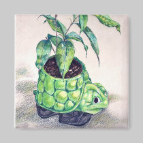 Turtle planter magnets