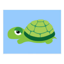 turtle post card