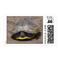 Turtle postage by ALL_IN_Designs Turtle postage