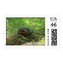 "TURTLE" postage