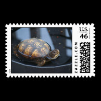 Turtle Postage stamps