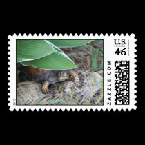 Turtle Postage stamps