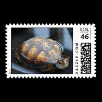 Turtle Postage stamps